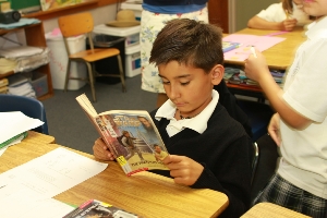 Accelerated reader picture2